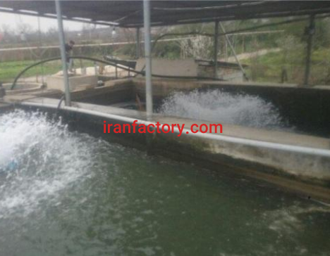 فروش 3500 متر استخر پرورش ماهی و باغ در مازندران1