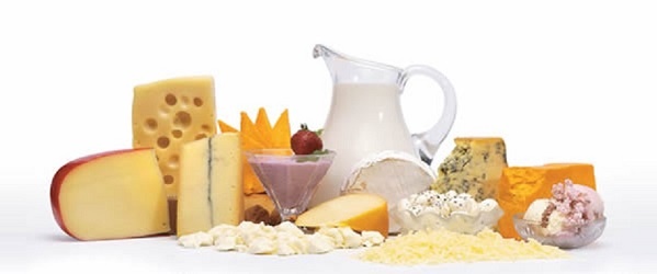 مواد اولیه و مشاوره تولید محصولات لبنی1