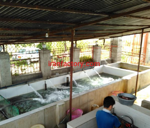 فروش 500 متر استخر پرورش ماهی در ساری2