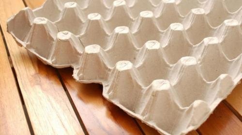 فروش دستگاه تولید شانه تخم مرغ0