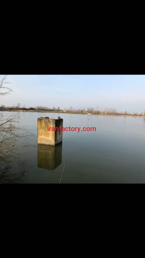 فروش پرورش ماهی در فومن4