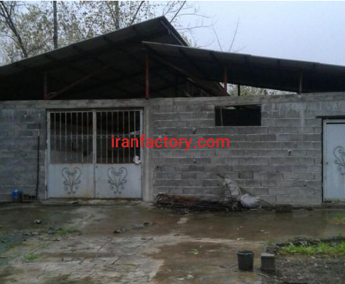 فروش 1000دامداری در رشت7