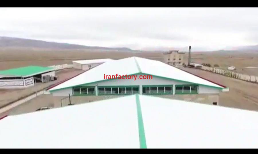 کشتارگاه صنعتی دام در تبریز0