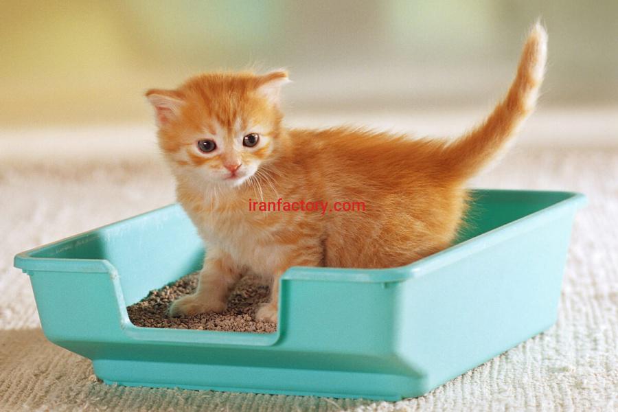 فروش خاک گربه اصفهان0
