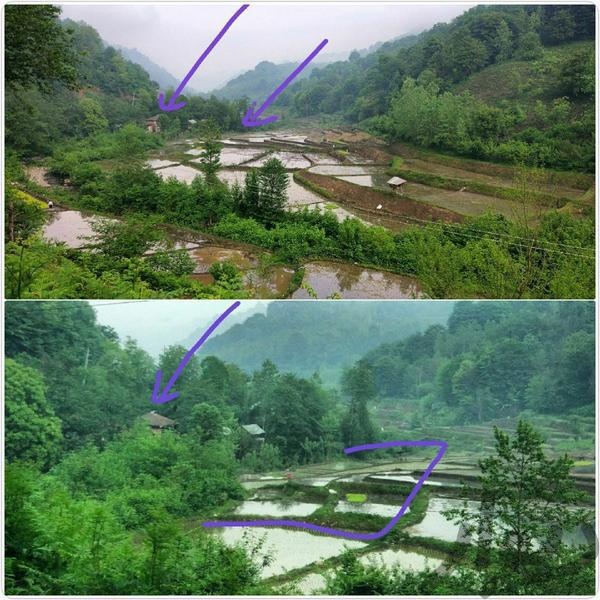 فروش خانه روستایی با 4000 متر زمین لنگرود1