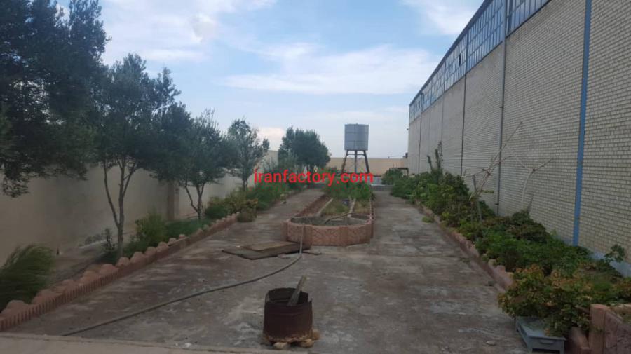 فروش کارخانه غذایی مورچه خورت1