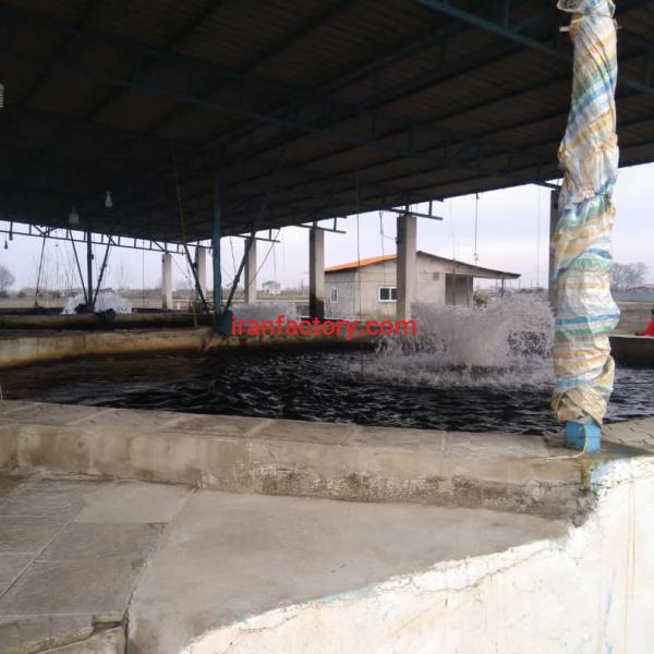 فروش 7800 متر استخر پرورش ماهی قزل الا در آمل