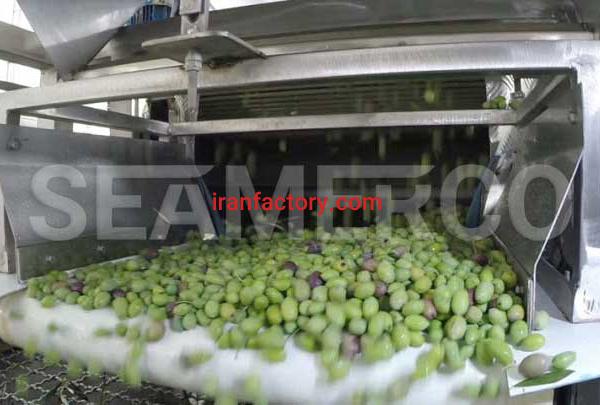 سازنده خط تولید کنسرو زیتون سیمرکو تهران