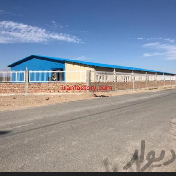 فروش سردخانه و بسته بندی مواد غذایی در خاش