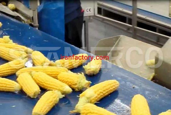 سازنده خط تولید کنسرو ذرت سیمرکو تهران