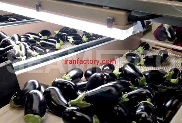 سازنده خط تولید بادمجان سیمرکو تهران