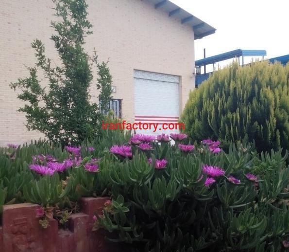 فروش کارخانه غذایی در تهران