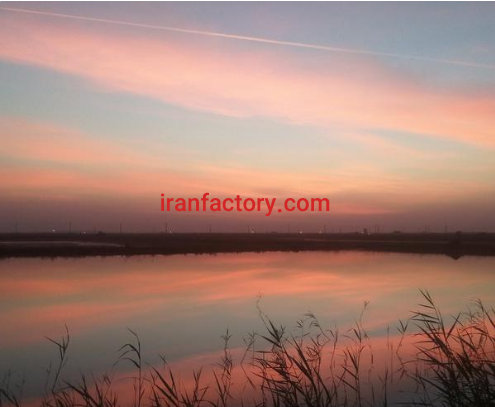 فروش دو مزرعه ۵۰هکتاری پرورش ماهی در خرمشهر