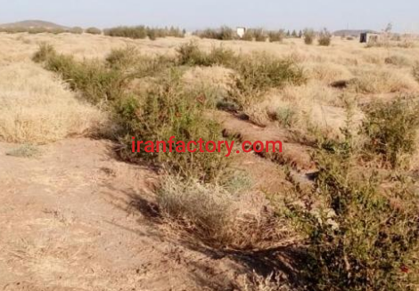 معاوضه یا فروش 1000 متر استخر پرورش ماهی در صفادشت