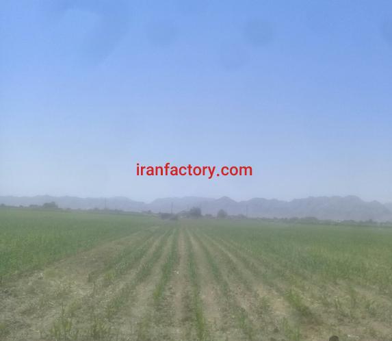 فروش گاوداری در زیار