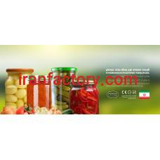 فروش خط تولید ترشی در تهران