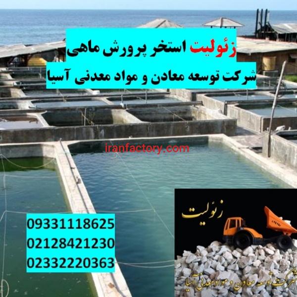 فروش زئولیت ویژه استخرماهی و آکواریوم
