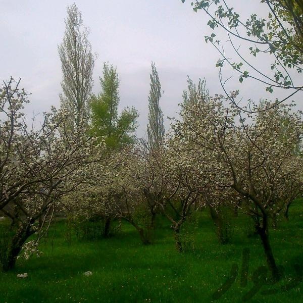 فروش ملک صنعتی کاربری کارخانه در اردبیل