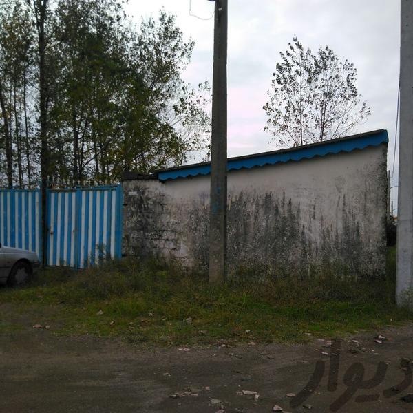 فروش زمین و سوله در بندر انزلی