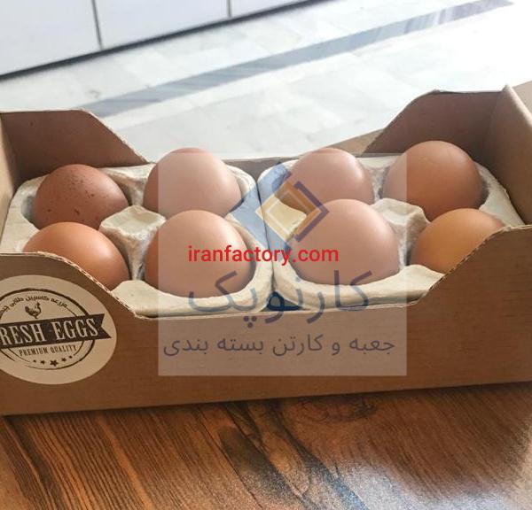 طراحی و تولید کارتن تخم مرغ ( کارتن سازی کارنوپک )