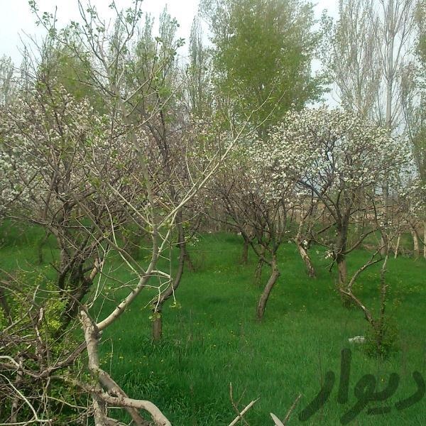 اجاره سوله در اردبیل