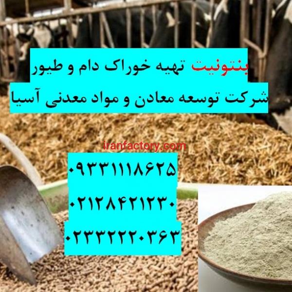 تاثیر بنتونیت در خوراک دام و طیور وآبزیان
