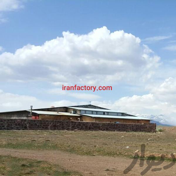 فروش کارخانه قارچ در تهران