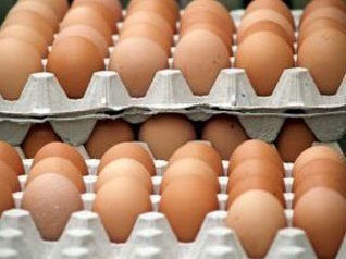 کشف بازار شانه تخم مرغ