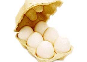 صادرات شانه تخم مرغ بصورت عمده