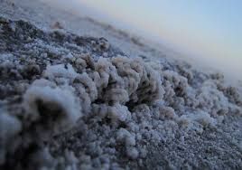 بازاريابي نمک دامي و دامداري