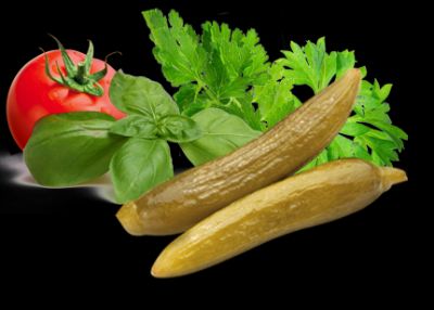 خريد خيار شور بسته بندي