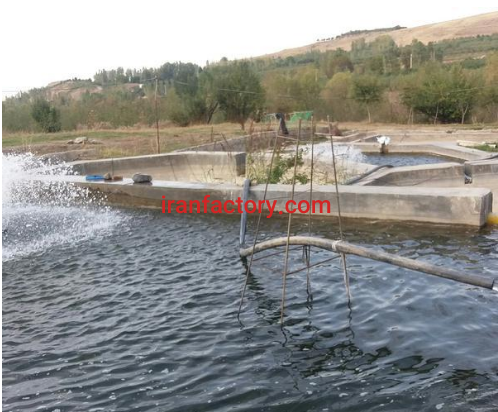 فروش 2500 متر پرورش ماهی قزل آلا در مشگین شهر