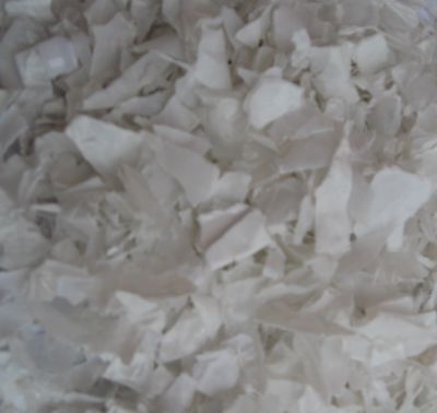 جذب مشتري براي پت پرک