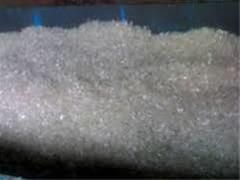 کشف بازار پت پرک هات واش