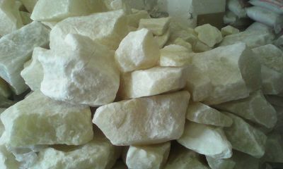 افزايش فروش نمک دامي بهترين قيمت