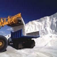 واردات نمک دامي بهترين قيمت