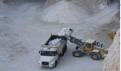 بازرگاني نمک دامي بهترين قيمت