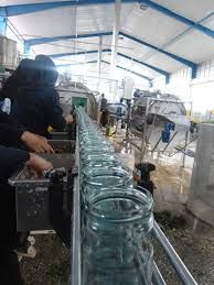 فروش بالاي خيارشور ظروف پت