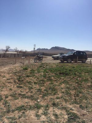 فروش مزرعه پرورش شتر مرغ در اصفهان