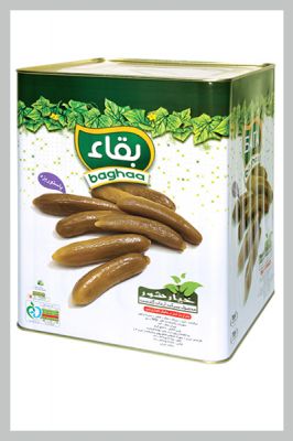 خرید حلب 17 کیلویی  و حلب خیارشور و حلب پنیر و حلب زیتون
