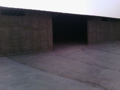 فروش گاوداری 3هکتاری 750 راسی گوشتی در قرچک با شرایط ویژه