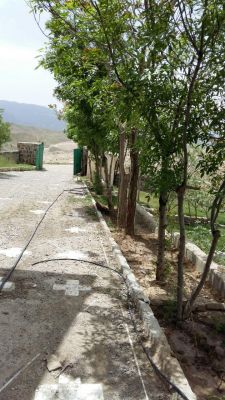 فروش گاوداری 100 راسی گوشتی در دماوند