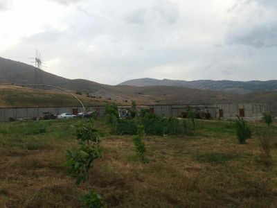 فروش 60 راسی شیری در رودبار 