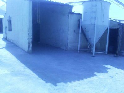 فروش مرغداری تخم گذار 45هزار قطعه ای در اراک