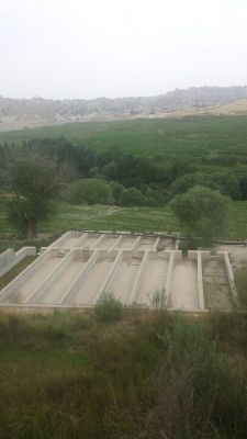 خرید پرورش ماهی در شیراز