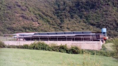 فروش دامداری شیری در گلستان 