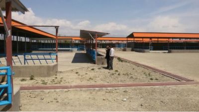 فروش گاوداری 400 راسی گوشتی استان البرز همراه با باغ میوه