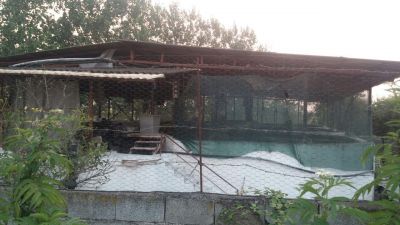 خرید پرورش ماهی در آمل