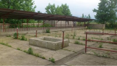 گاوداری و زمین کشاورزی فومن گیلان