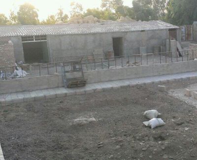 فروش گاوداری در گرمسار